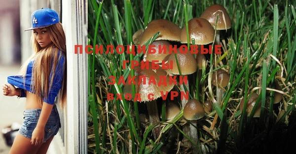 Альфа ПВП Гусь-Хрустальный