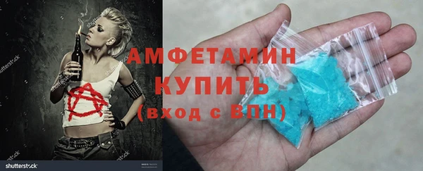 трава Белокуриха