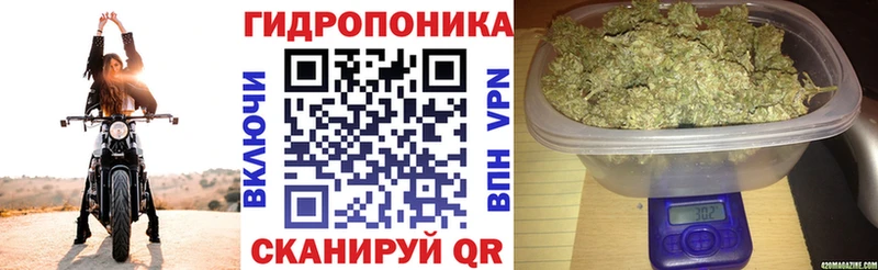Купить закладки Белоозёрский Бошки марихуана гибрид